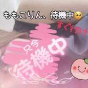 ヒメ日記 2026/03/08 19:11 投稿 ももこ 鹿児島ちゃんこ 薩摩川内店