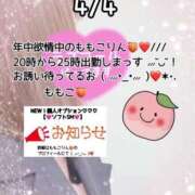 ももこ ＊4/4🩷20時から＊ 鹿児島ちゃんこ 薩摩川内店