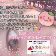 ヒメ日記 2026/04/06 20:56 投稿 ももこ 鹿児島ちゃんこ 薩摩川内店