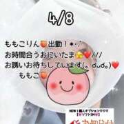 ヒメ日記 2026/04/08 17:45 投稿 ももこ 鹿児島ちゃんこ 薩摩川内店