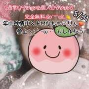 ヒメ日記 2026/05/31 19:15 投稿 ももこ 鹿児島ちゃんこ 薩摩川内店
