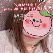 ヒメ日記 2026/07/29 19:45 投稿 ももこ 鹿児島ちゃんこ 薩摩川内店