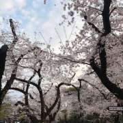 ヒメ日記 2026/03/29 19:21 投稿 さな an_an（アンアン）