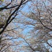 ヒメ日記 2026/04/09 19:17 投稿 さな an_an（アンアン）