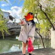 ヒメ日記 2024/12/15 11:45 投稿 りず spicyな女たち