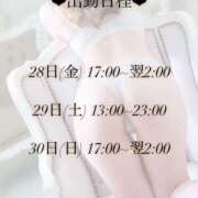 ヒメ日記 2025/03/28 02:01 投稿 ねね 今から乳首を犯しにいってもいいですか？大阪店