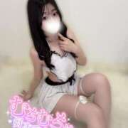 ヒメ日記 2025/07/31 03:01 投稿 ねね 今から乳首を犯しにいってもいいですか？大阪店