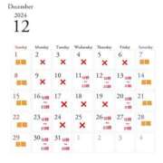 ヒメ日記 2024/12/12 14:45 投稿 私がアンナ！！ ピンクコレクション尼崎店