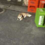 ヒメ日記 2025/06/24 01:33 投稿 ひな 沖縄素人図鑑