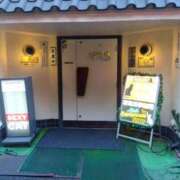 ヒメ日記 2024/12/17 12:52 投稿 早見みずき セクシーキャット 神田店