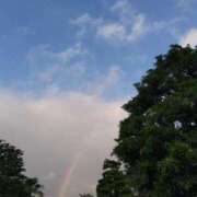 ヒメ日記 2024/12/30 22:00 投稿 早見みずき セクシーキャット 神田店