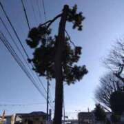 ヒメ日記 2025/03/12 18:59 投稿 早見みずき セクシーキャット 神田店