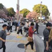 ヒメ日記 2025/03/23 17:55 投稿 早見みずき セクシーキャット 神田店