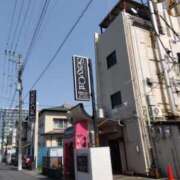 ヒメ日記 2025/03/26 09:47 投稿 早見みずき セクシーキャット 神田店