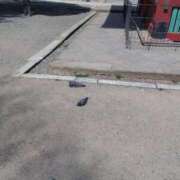 ヒメ日記 2025/04/05 08:46 投稿 早見みずき セクシーキャット 神田店