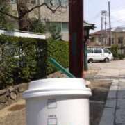 ヒメ日記 2025/04/16 11:31 投稿 早見みずき セクシーキャット 神田店