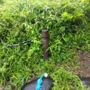 ヒメ日記 2025/05/07 08:06 投稿 早見みずき セクシーキャット 神田店