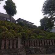 ヒメ日記 2025/05/24 11:14 投稿 早見みずき セクシーキャット 神田店