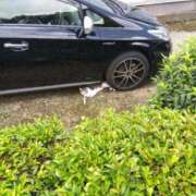 ヒメ日記 2025/07/06 08:29 投稿 早見みずき セクシーキャット 神田店