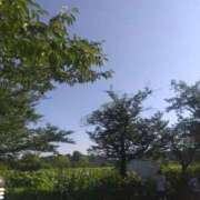 ヒメ日記 2025/07/26 10:19 投稿 早見みずき セクシーキャット 神田店