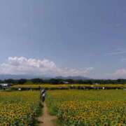 ヒメ日記 2025/07/26 19:22 投稿 早見みずき セクシーキャット 神田店