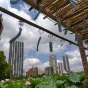 ヒメ日記 2025/08/01 14:17 投稿 早見みずき セクシーキャット 神田店