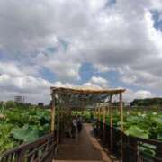 ヒメ日記 2025/08/01 15:13 投稿 早見みずき セクシーキャット 神田店