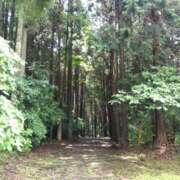 ヒメ日記 2025/08/16 17:00 投稿 早見みずき セクシーキャット 神田店