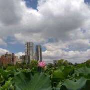 ヒメ日記 2025/08/19 10:28 投稿 早見みずき セクシーキャット 神田店