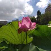 ヒメ日記 2025/08/23 12:24 投稿 早見みずき セクシーキャット 神田店