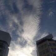 ヒメ日記 2025/08/31 16:47 投稿 早見みずき セクシーキャット 神田店