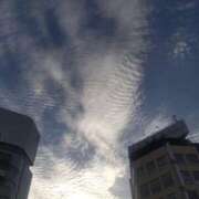 ヒメ日記 2025/09/06 18:39 投稿 早見みずき セクシーキャット 神田店