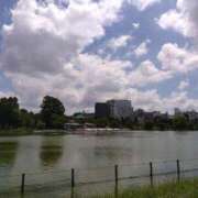 ヒメ日記 2025/09/08 20:31 投稿 早見みずき セクシーキャット 神田店