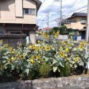 ヒメ日記 2025/10/04 19:31 投稿 早見みずき セクシーキャット 神田店