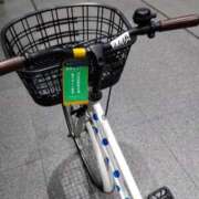 ヒメ日記 2025/10/21 15:09 投稿 早見みずき セクシーキャット 神田店