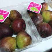 ヒメ日記 2025/11/15 09:18 投稿 早見みずき セクシーキャット 神田店