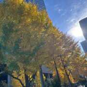 ヒメ日記 2025/11/19 08:36 投稿 早見みずき セクシーキャット 神田店