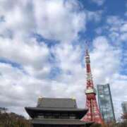 ヒメ日記 2025/11/19 16:53 投稿 早見みずき セクシーキャット 神田店