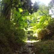 ヒメ日記 2025/11/20 17:52 投稿 早見みずき セクシーキャット 神田店