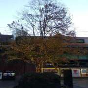 ヒメ日記 2025/11/24 18:58 投稿 早見みずき セクシーキャット 神田店