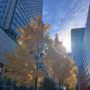 ヒメ日記 2025/11/25 16:56 投稿 早見みずき セクシーキャット 神田店