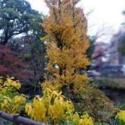 ヒメ日記 2025/12/03 18:04 投稿 早見みずき セクシーキャット 神田店