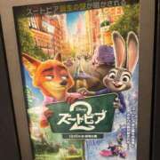 ヒメ日記 2026/01/10 12:30 投稿 早見みずき セクシーキャット 神田店