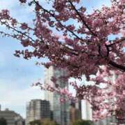 ヒメ日記 2026/03/20 09:32 投稿 早見みずき セクシーキャット 神田店