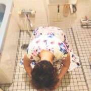 ヒメ日記 2026/07/28 16:07 投稿 早見みずき セクシーキャット 神田店