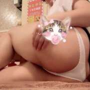 ヒメ日記 2026/07/30 09:11 投稿 春日はるか セクシーキャット 神田店