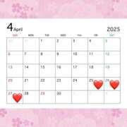 ヒメ日記 2025/04/24 12:05 投稿 藤井みき セクシーキャット 神田店