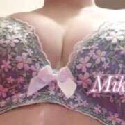 ヒメ日記 2025/10/10 18:02 投稿 藤井みき セクシーキャット 神田店