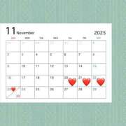 ヒメ日記 2025/11/19 13:30 投稿 藤井みき セクシーキャット 神田店