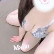 ヒメ日記 2025/02/02 20:58 投稿 まほ マダムの品格